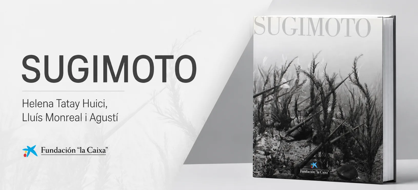 Sugimoto
