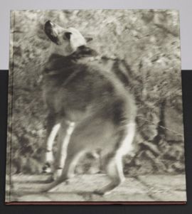 Ulay Ulay Portraits 1970-1993 1638