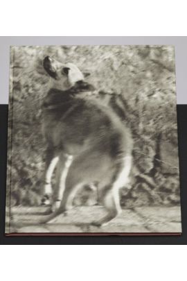 Ulay Ulay Portraits 1970-1993 1638