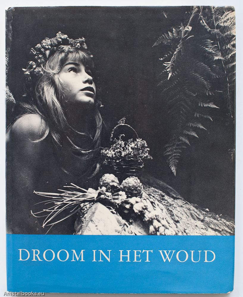 アート・デザイン・音楽 DROOM IN HET WOUD / ATA KANDO Droom in het woud – Ata Kandó (1957) | Amstelbooks