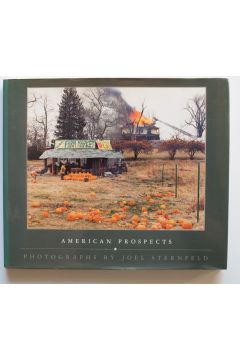 Joel Sternfeld American Prospects 1510