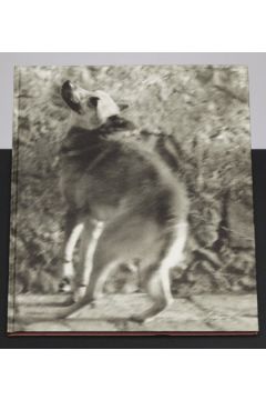 Ulay Ulay Portraits 1970-1993 1638