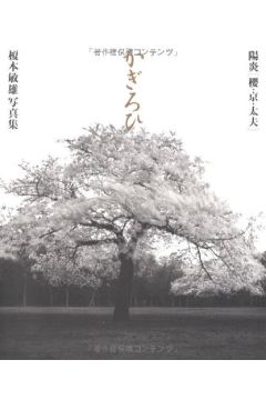 Toshio Enomoto Kagirohi 2158