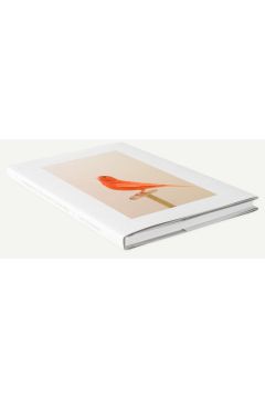 Luke Stephenson An Incomplete Dictionary of Show Birds 2243