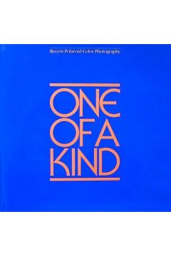 Belinda Rathbone One of a Kind: Recent Polaroid Color Photography 2450