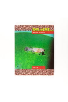 Manfred Willmann Manfred Willmann: Das Land 1981-1993 2640