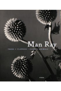 Man Ray, John P. Jacob Man Ray trees + flowers - Insects Animals 1066