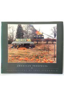 Joel Sternfeld American Prospects 1401