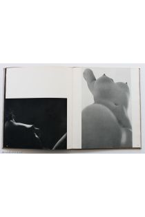 Otto Steinert Le NU international 1411