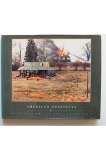 Joel Sternfeld American Prospects 1510