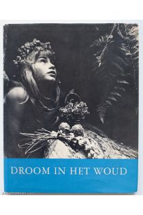 Ata Kandó Droom in het woud 1689