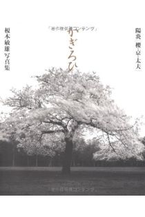 Toshio Enomoto Kagirohi 2158