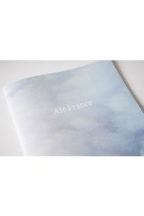 Tim Bowditch Air France 2208