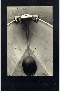 Ralph Gibson The Somnambulist 2283