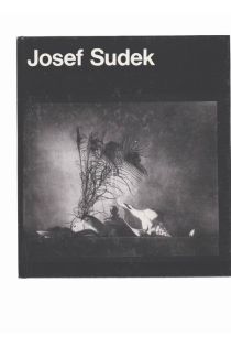 Daniela Mrázková, Vladimír Remeš Josef Sudek 2436