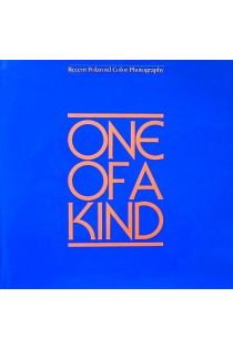 Belinda Rathbone One of a Kind: Recent Polaroid Color Photography 2450