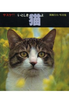 Masahisa Fukase / Itoshiki Neko Yo Sasuke! My dear cat 1317