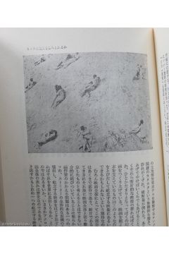 Takuma Nakahira Why the Botanical Encyclopedia? 1609