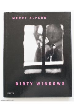 Merry Alpern Dirty Windows 1710