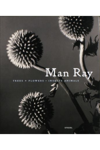 Man Ray, John P. Jacob Man Ray trees + flowers - Insects Animals 1066