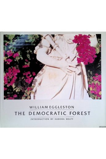 William Eggleston The Democratic Forest 16