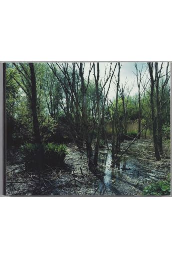 Wout Berger Giflandschap / Poisoned landscape 1442