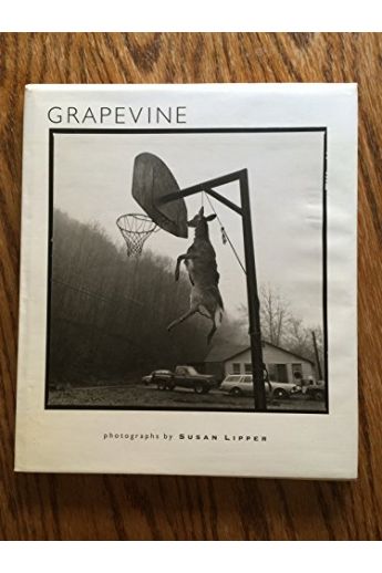 Susan Lipper Grapevine 1525