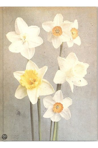 Leendert Blok, Niels Schumm Tumbleweed 2180