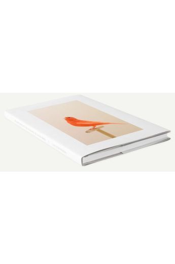Luke Stephenson An Incomplete Dictionary of Show Birds 2243
