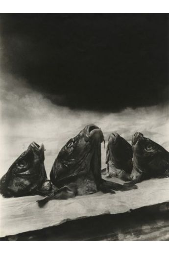 Christian Bouqueret Bauhaus Photographie 2540
