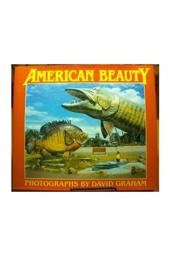 David Graham American Beauty 2612